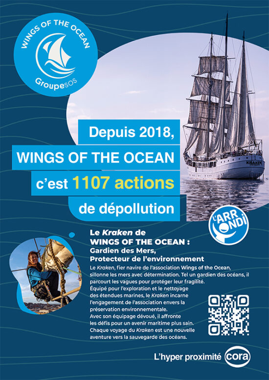 Affiche Wings of the Ocean